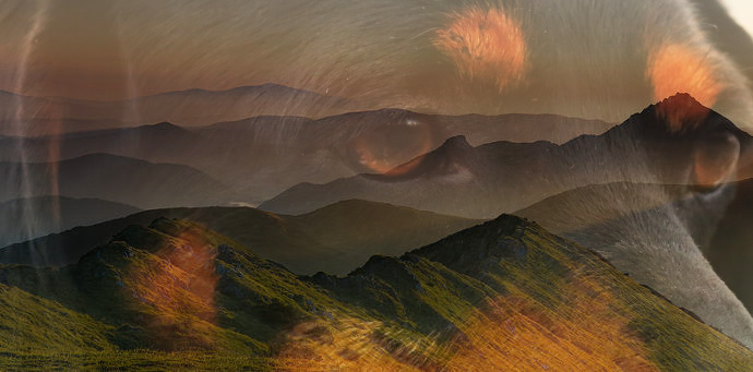 Read more about the article Nové jedince v chove